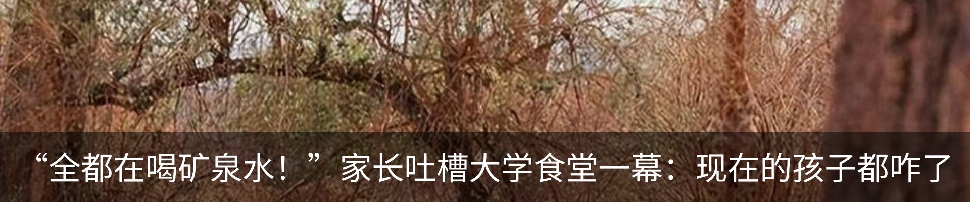 热点资讯