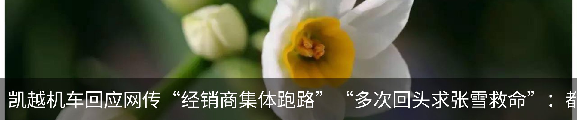 热点资讯