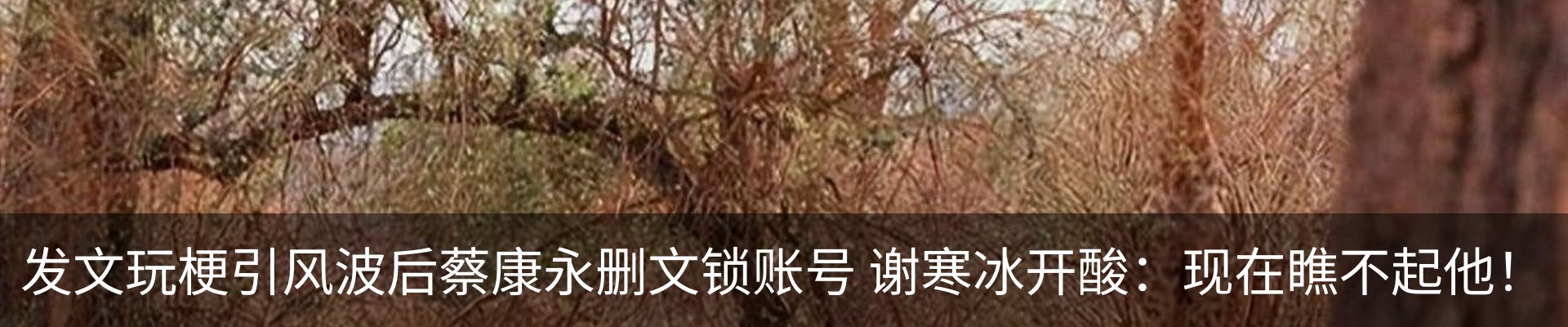 热点资讯