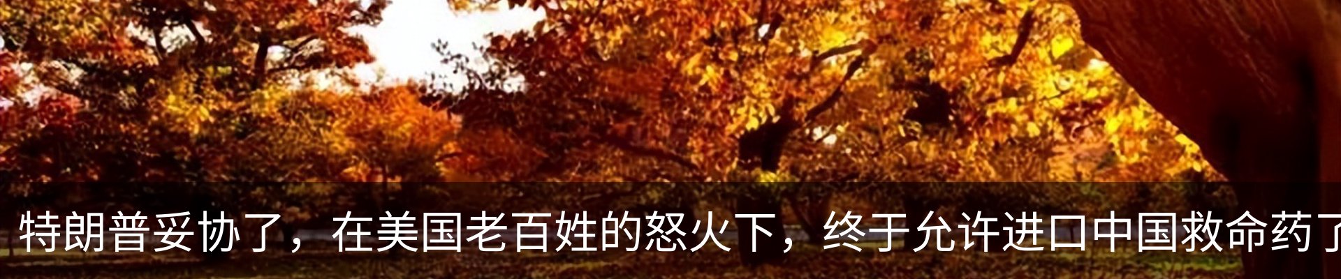 热点资讯
