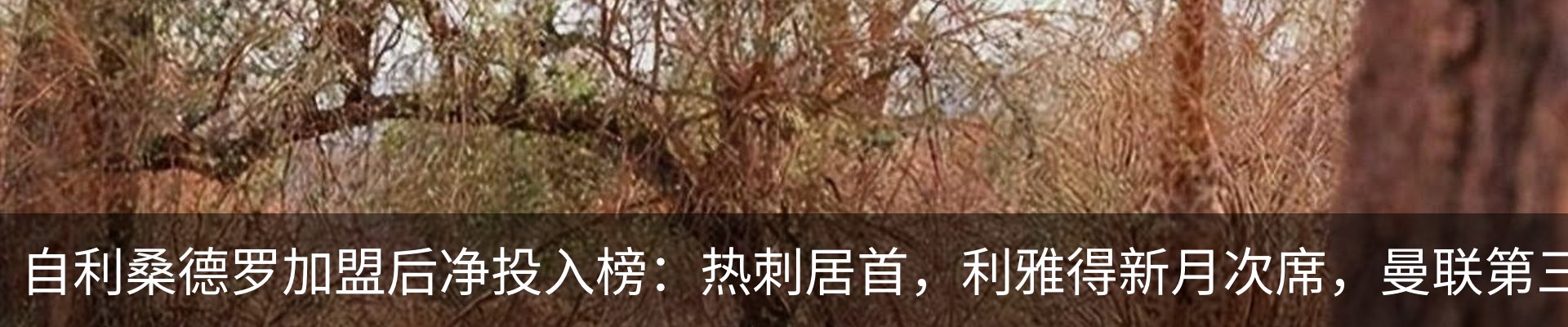 热点资讯