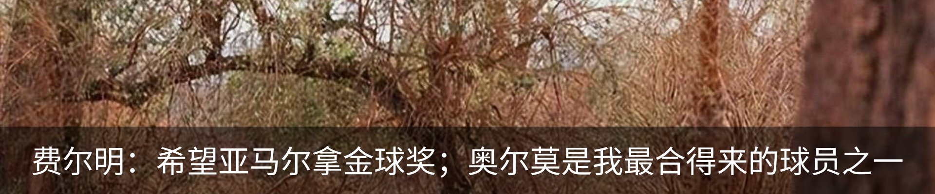 热点资讯