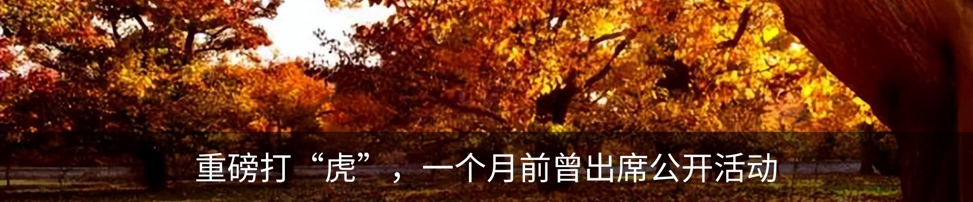热点资讯