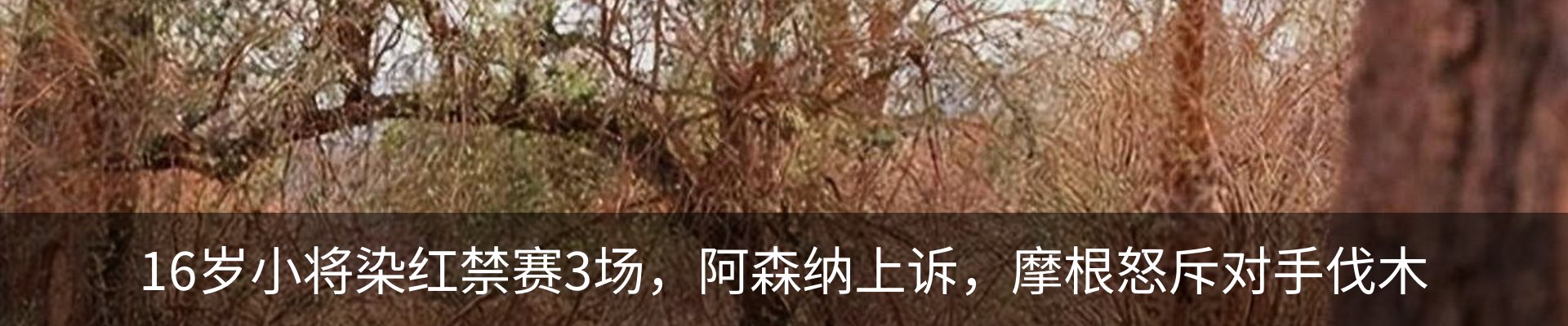 热点资讯